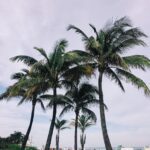 palm beach florida