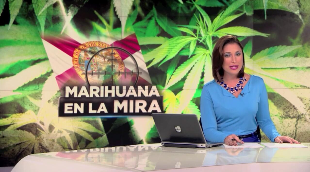 Marihuana Medicinal Noticiero Univision