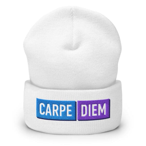 Carpe Diem Hoodie and Beanie Bundle - Image 3